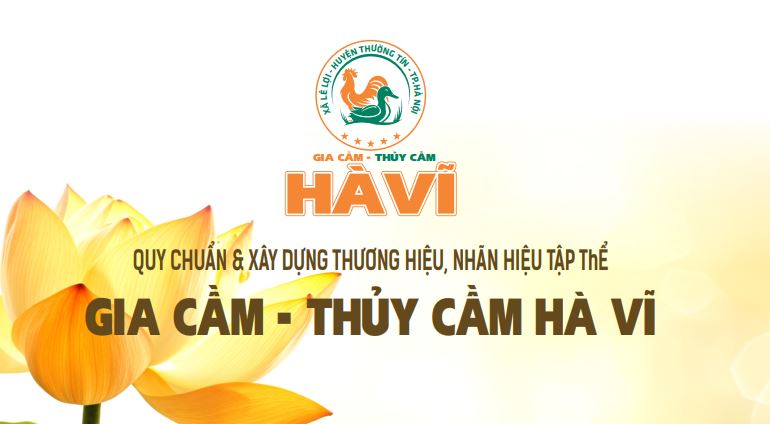 Địa danh “Hà Vĩ” được cho phép để đăng ký nhãn hiệu tập thể “Gia cầm, thủy cầm Hà Vĩ”